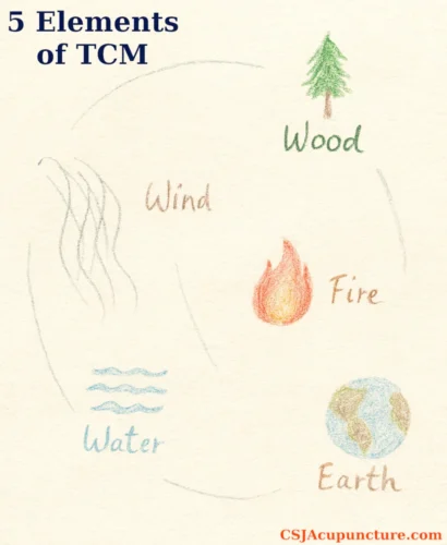 a simple diagram of the 5 elements of Traditional Chinese Medicine