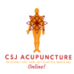 CSJAcupuncture.com