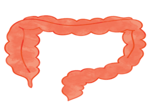Read more about the article Diverticulosis and Acupuncture: A Holistic Approach