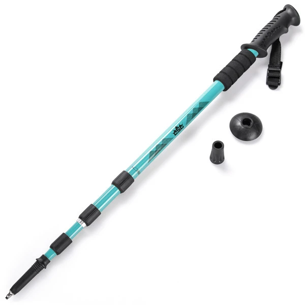 A teal trekking pole used as an example for buying trekking poles