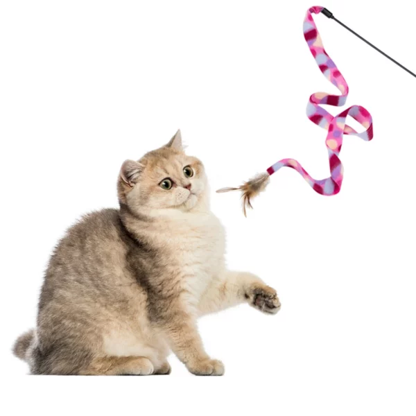 Interactive Teaser Wand Cat Toy with Feather3
