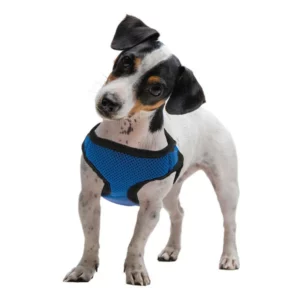 Medium Blue SoftnSafe Dog Harness