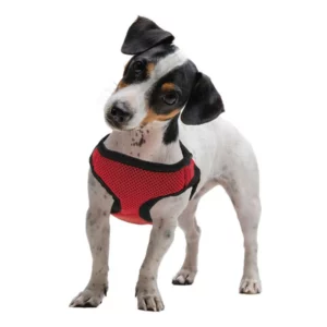 Medium Red SoftnSafe Dog Harness