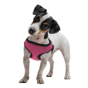 Small Pink SoftnSafe Dog Harness