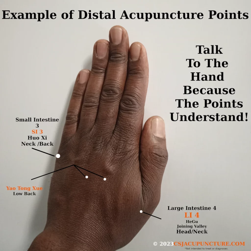 acupuncture distal points for low back, neck, and head 