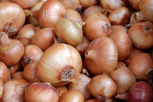 onions budget nutritious veggies