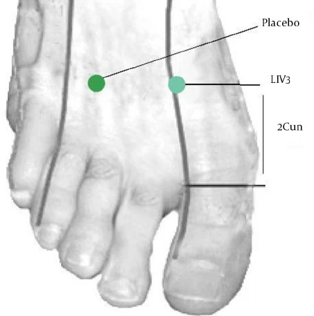 Liver 3 acupuncture point location