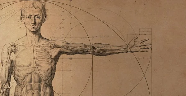 anatomy and human physiology
