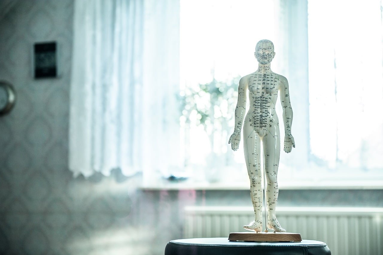 How Does Acupuncture Work? The Science and Theory