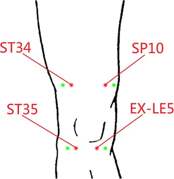 st 34 stomach 34 acupuncture point location