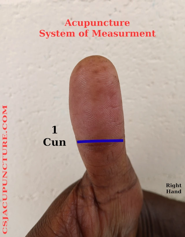 1 cun acupuncture example
