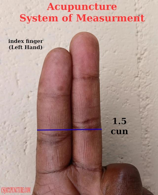 1.5 cun acupuncture example