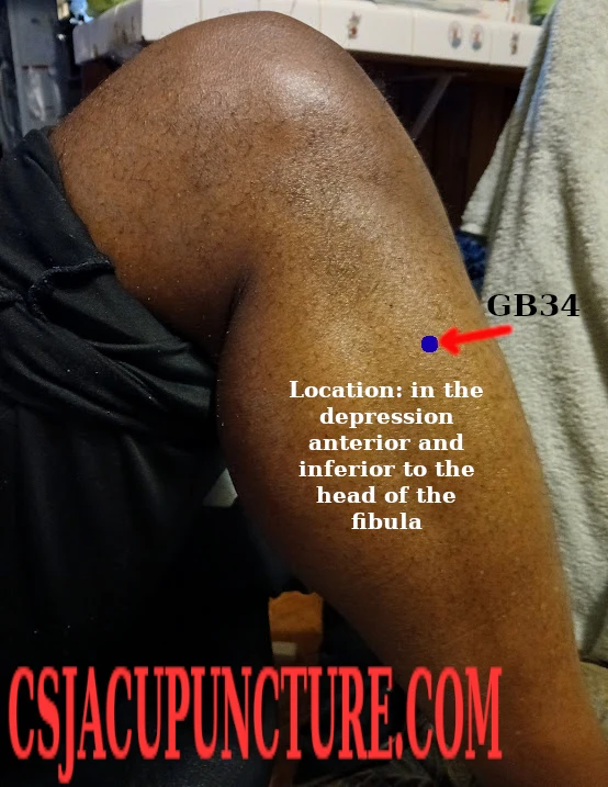 GB34 Point Location for Acupuncture