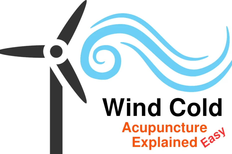 wind cold in acupuncture theory explained