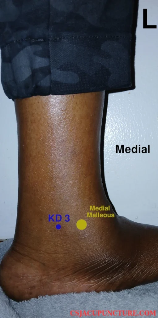 kidney 3 acupoint location