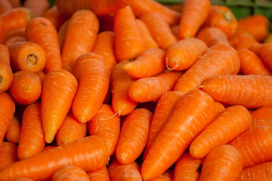 organic carrots e. coli outbreak 2024