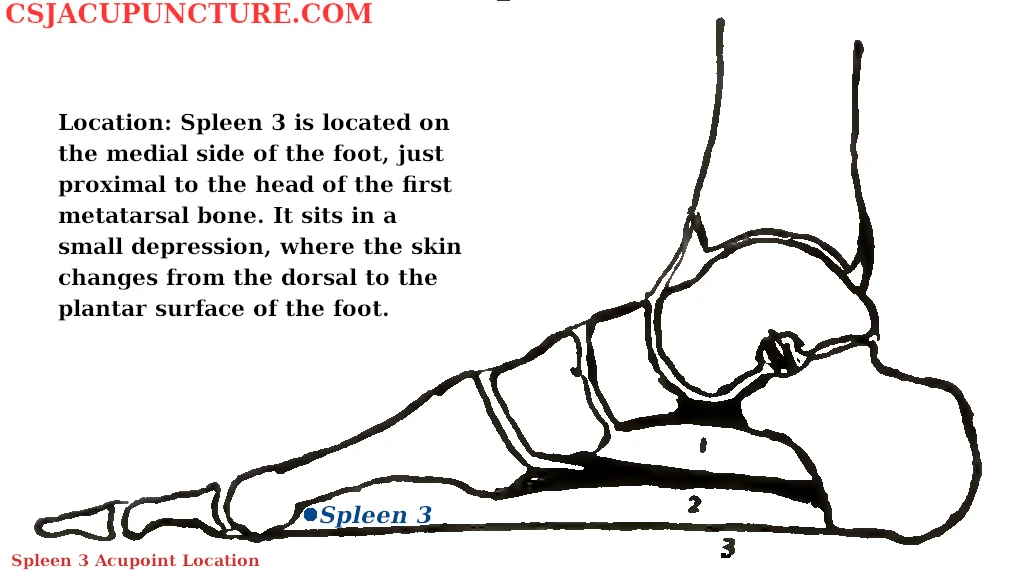 spleen 3 acupuncture point location