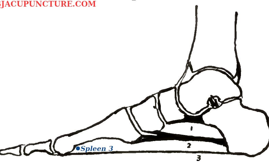 spleen 3 acu point location main photo