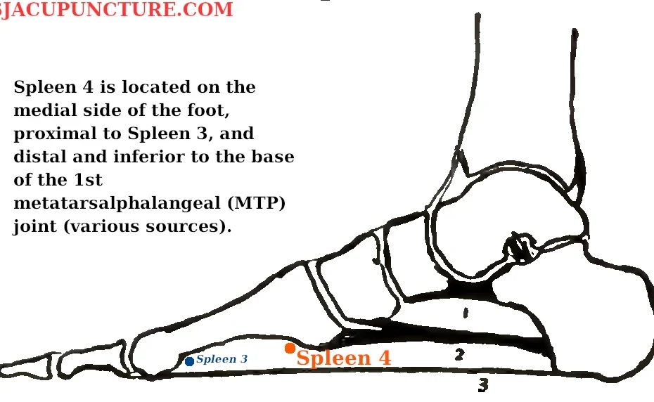 spleen 4 acupuncture point location