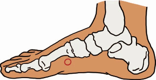 spleen4 sp4 acupoint location