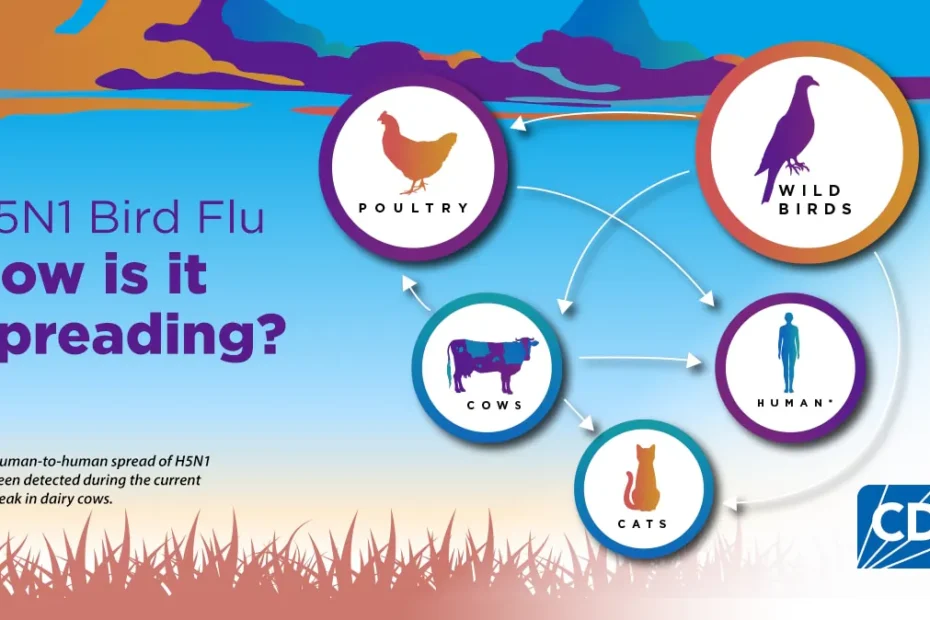 h5n1 bird flu how it spreads