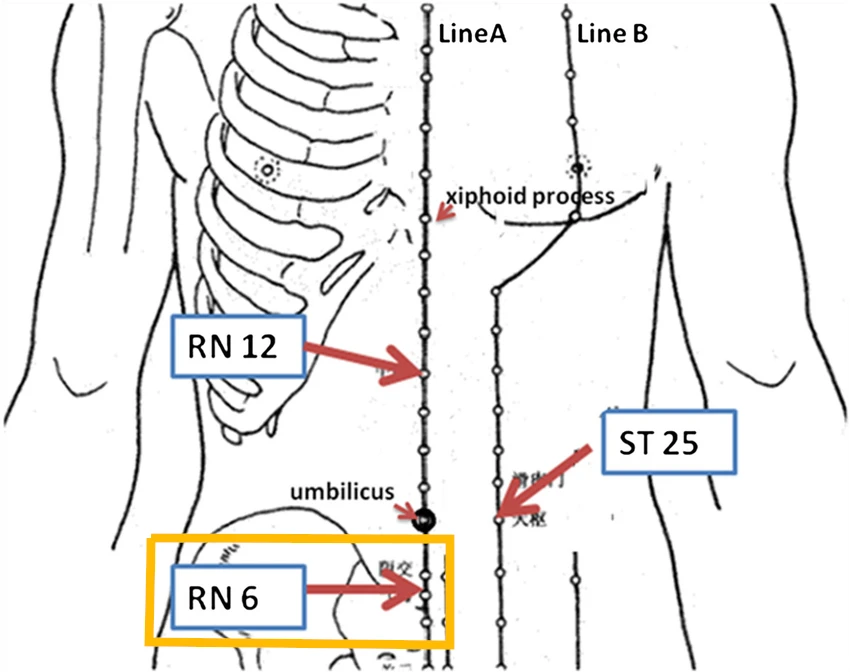 ren 6 acupuncture point location