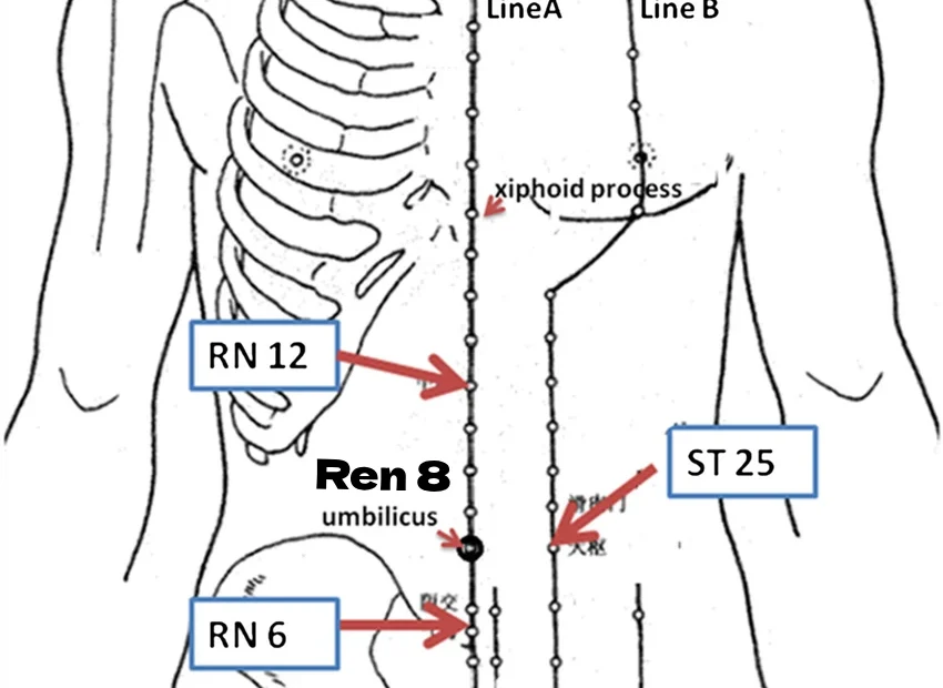 ren 8 moxibustion acupoint location