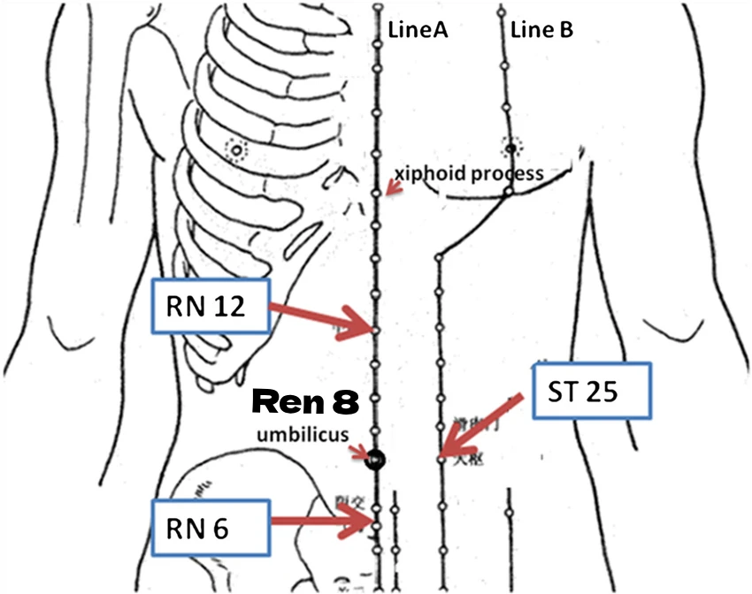 ren 8 moxibustion acupoint location