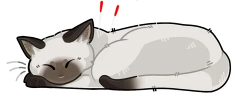 New Proposed Veterinary Acupuncture Specialties