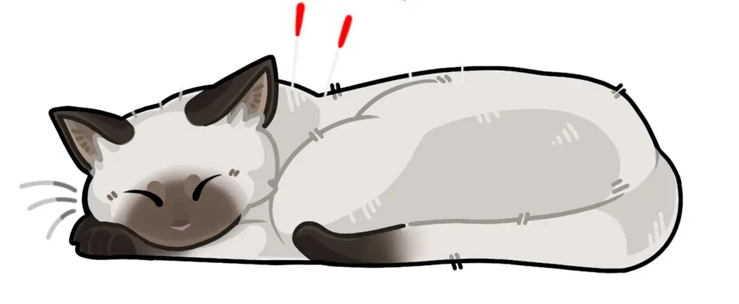 New Proposed Veterinary Acupuncture Specialties