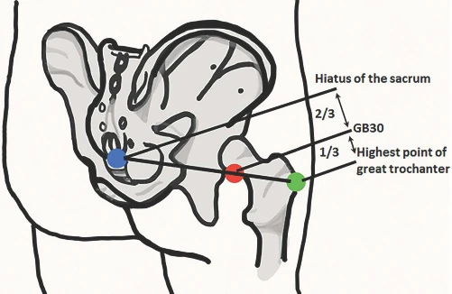 gb30 acupucnture point location