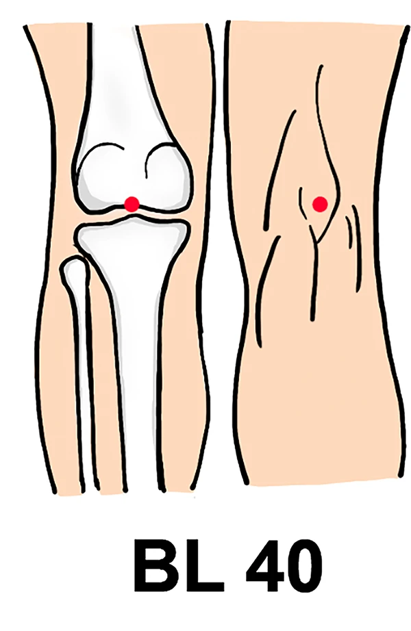 ub 40 acupuncture point