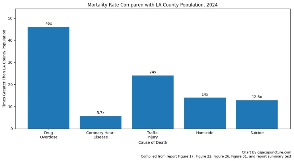 Mortality Rate Compared With LA County Population 2024