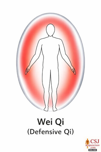 Wei Qi defensive chi tcm