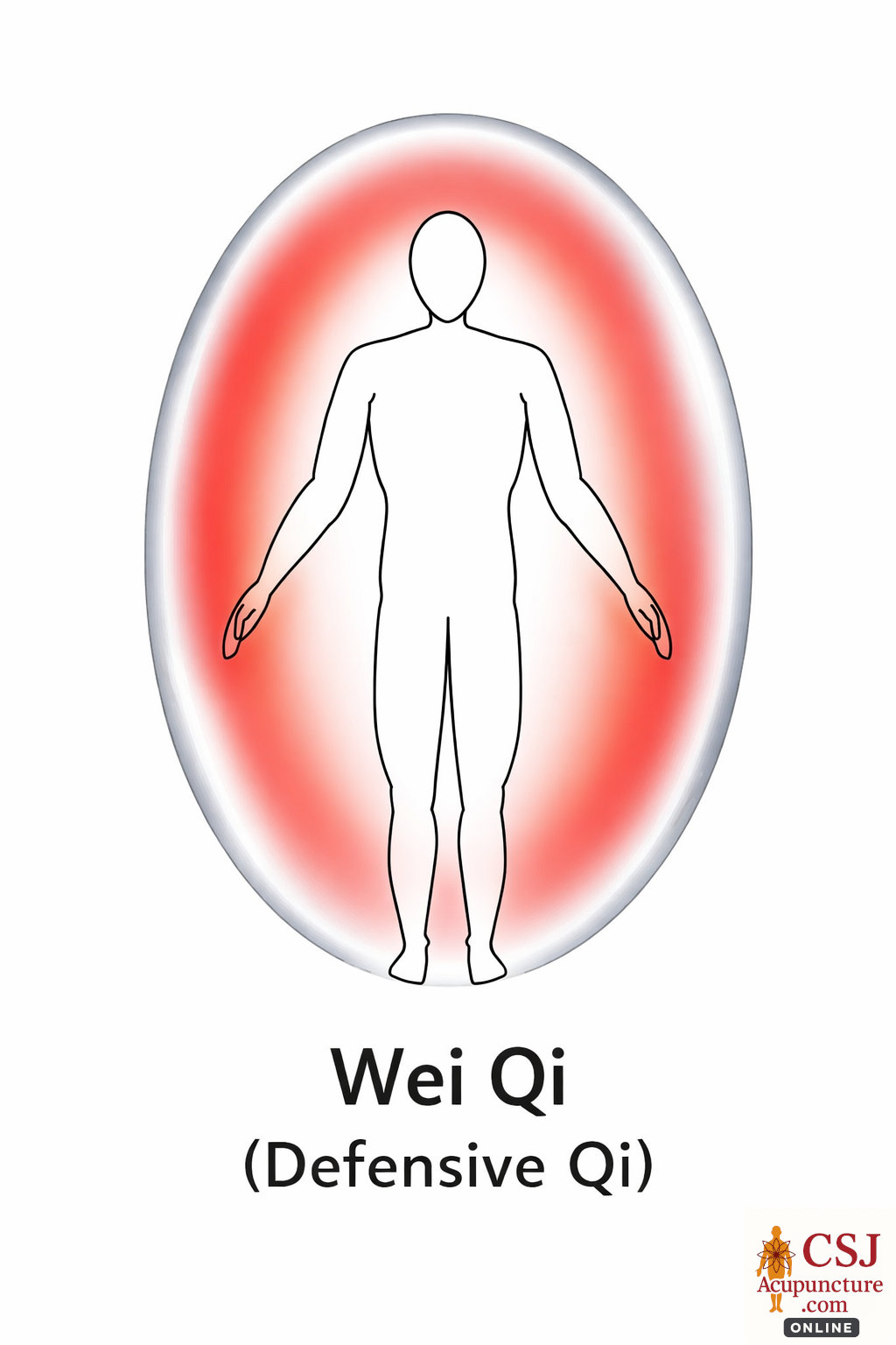 Wei Qi defensive chi tcm